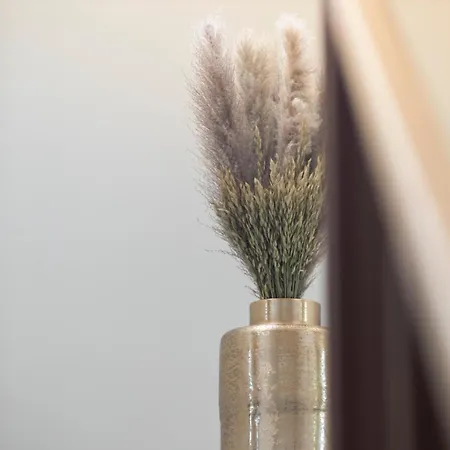 אכסניה Ca' Allegra *