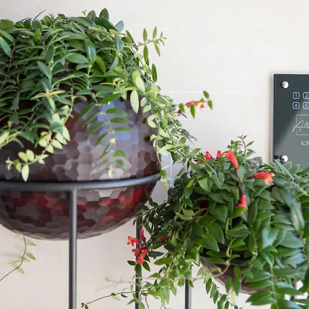 Lodge Ca' Allegra Mogliano Veneto