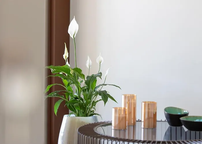 Ca' Allegra 山林小屋